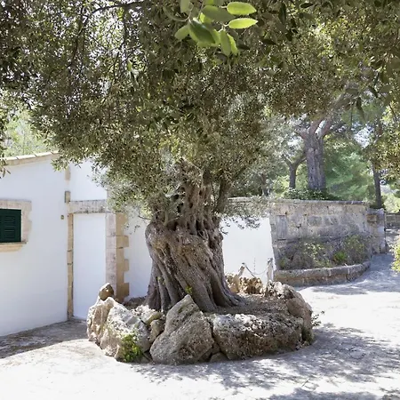 Ferienhaus Gran Voramar Cala