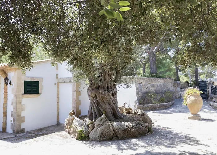 Holiday home Gran Voramar Cala